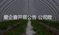 爱企查开庭公告 公司败诉怎么办