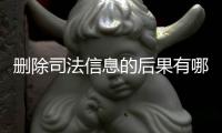 删除司法信息的后果有哪些表现呢怎么写出来