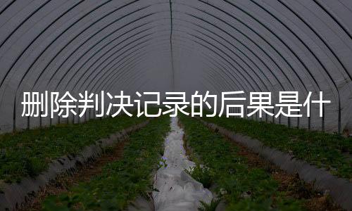 删除判决记录的后果是什么意思呀怎么查询结果