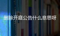 删除开庭公告什么意思呀怎么写文案