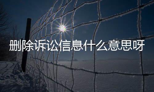 删除诉讼信息什么意思呀怎么办理呢法院起诉