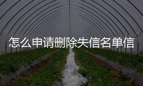 怎么申请删除失信名单信息查询记录呢苹果手机