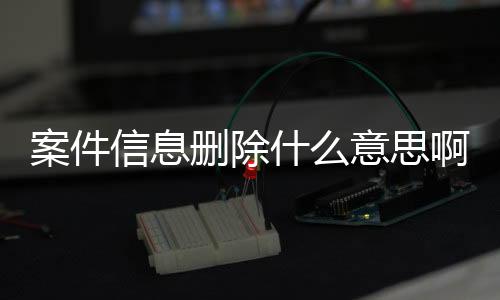 案件信息删除什么意思啊怎么查询呢