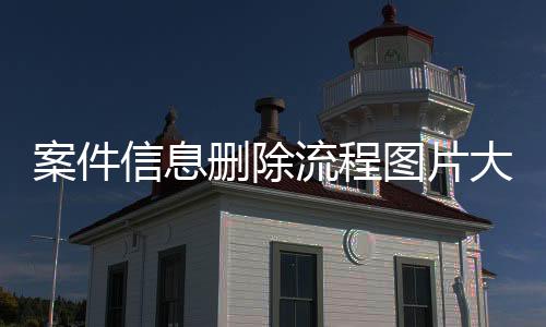 案件信息删除流程图片大全集