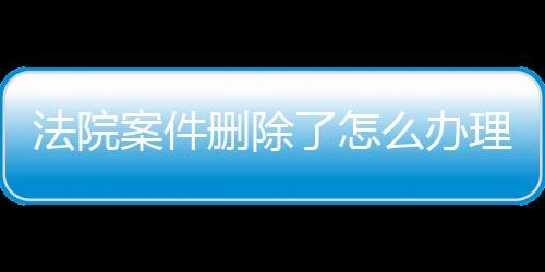 法院案件删除了怎么办理执行流程图片及文字信息