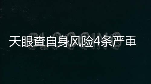 天眼查自身风险4条严重吗怎么查的呢视频教程在线观看