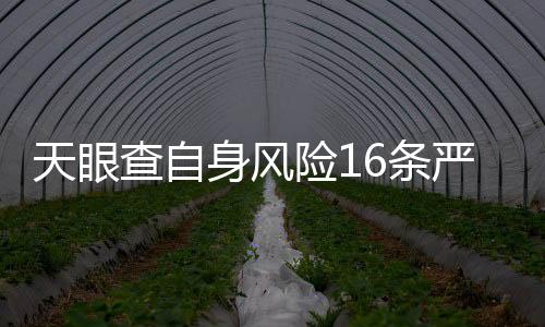 天眼查自身风险16条严重吗怎么查的呢视频