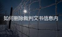 如何删除裁判文书信息内容记录表呢