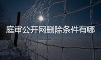 庭审公开网删除条件有哪些规定要求呢视频播放